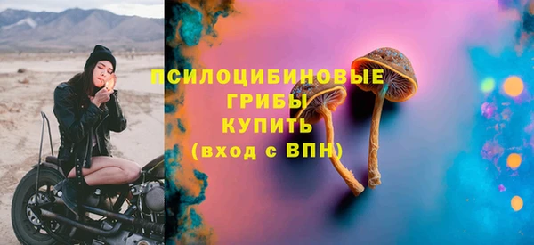ешки Артём