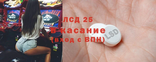 сатива Липки