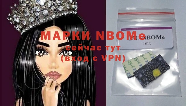 шишки Анива
