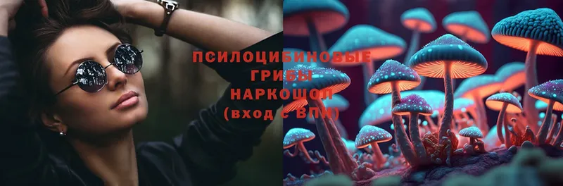 Псилоцибиновые грибы Cubensis  Долинск 